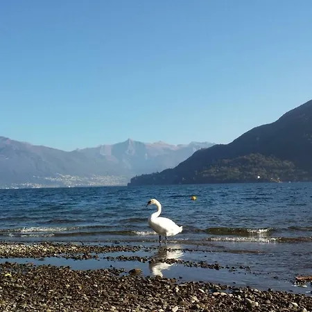 Casa Farfalla Semesterbostad Cannobio