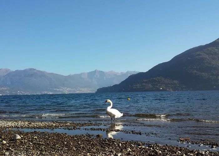 Casa Farfalla Dom wakacyjny Cannobio